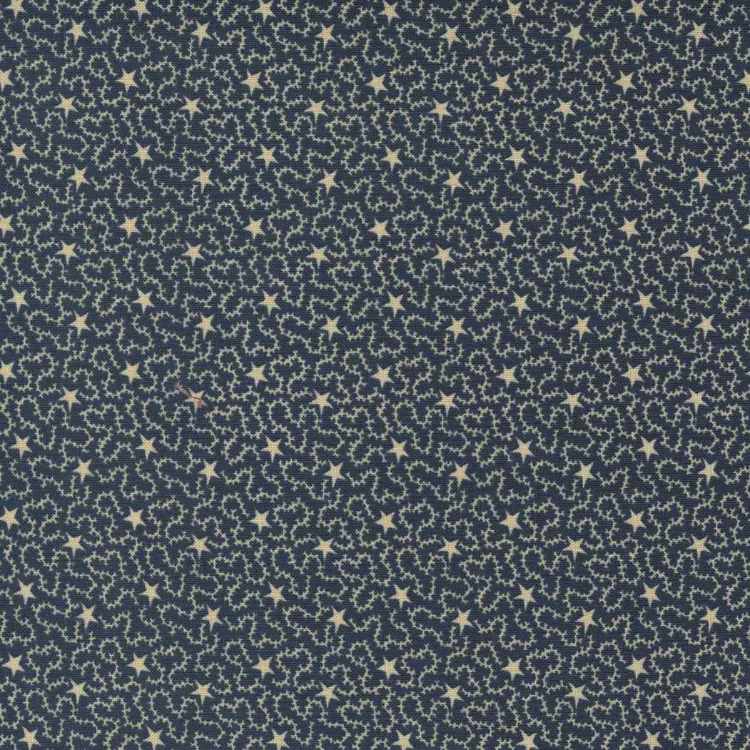 Freedom Road Blue Tan sku 9695 14, sold by 1/2 yard - Good Vibes Quilt Shop