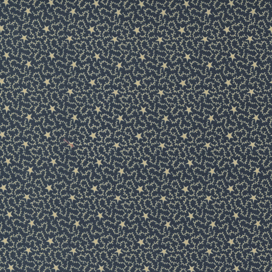 Freedom Road Blue Tan sku 9695 14, sold by 1/2 yard - Good Vibes Quilt Shop