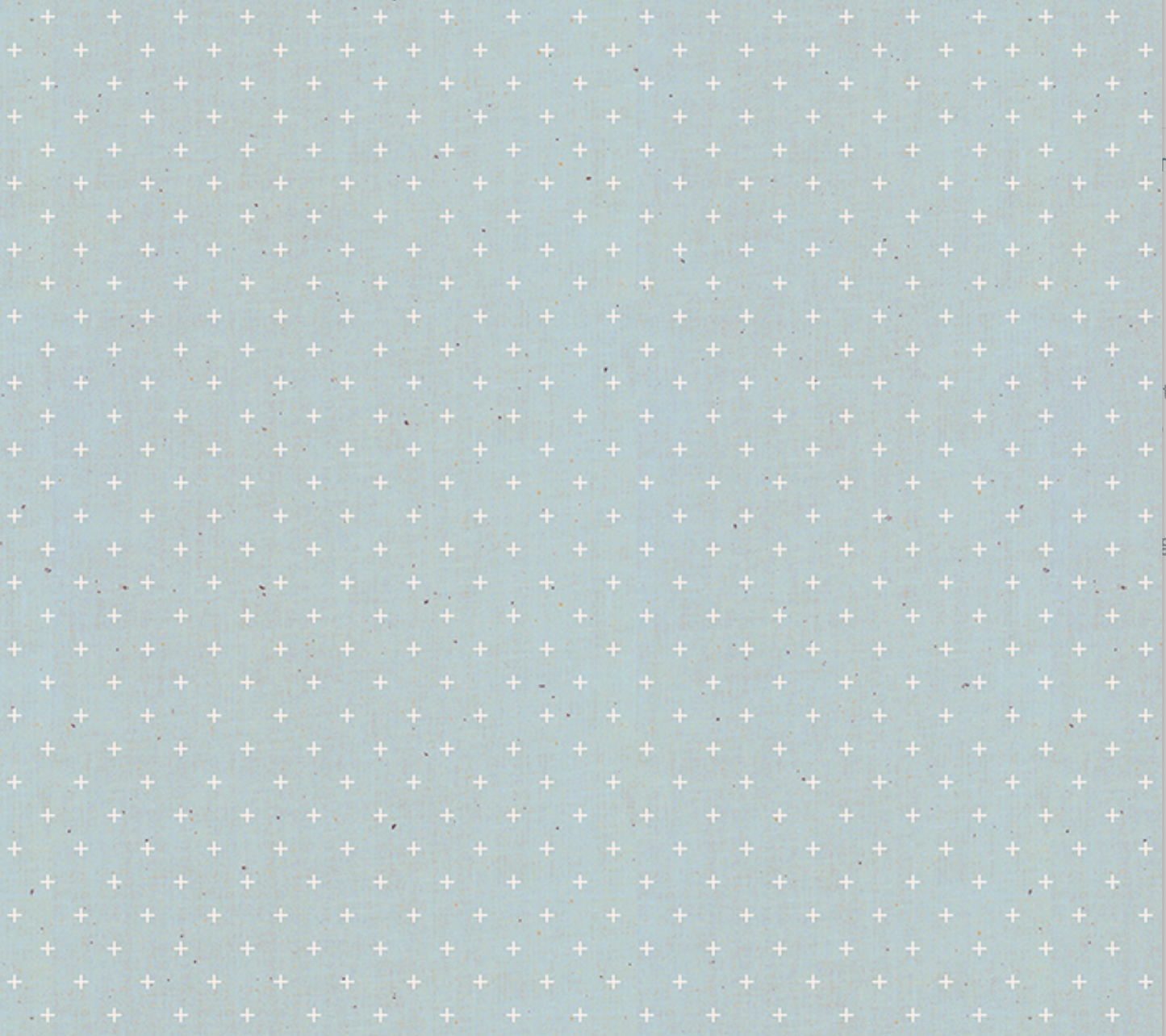 Ruby Star Society Add it up Fabric RS400539 Polar