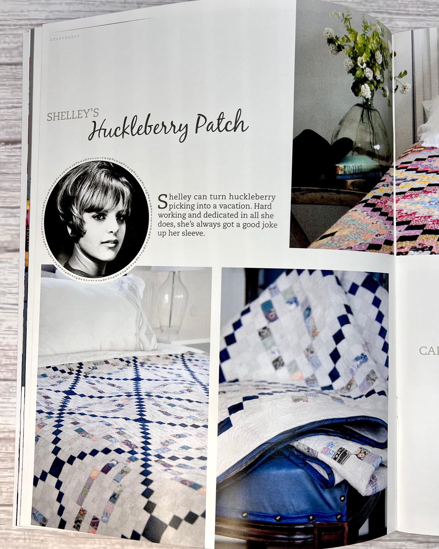 Ten Quilts for Ten Sisters Quilt Book from Carmen Geddes of Ten Sisters for Easy Piecing Grid System - Good Vibes Quilt Shop