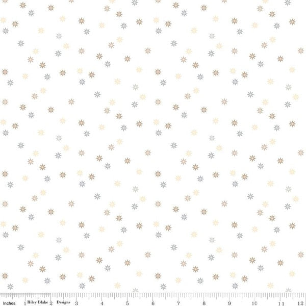 Hush Hush 5 Quilty Stars fabric by Riley Blake Designs C16942-STARS