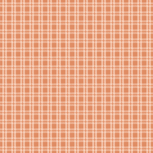 Fairview Avenue Fabric, Cozy Gingham Birch, FWA-21705, Sold by the 1/2 yard, Preorder - Good Vibes Quilt Shop