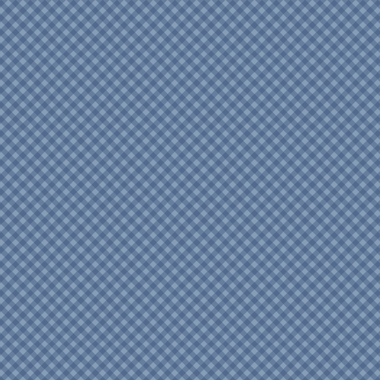 Prairie Sisters Homestead Gingham Forever Blue PH23406, sold by the 1/2 yard - Good Vibes Quilt Shop