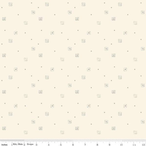 Hush Hush 5 All Boxed In fabric by Riley Blake Designs C16955-BOXED